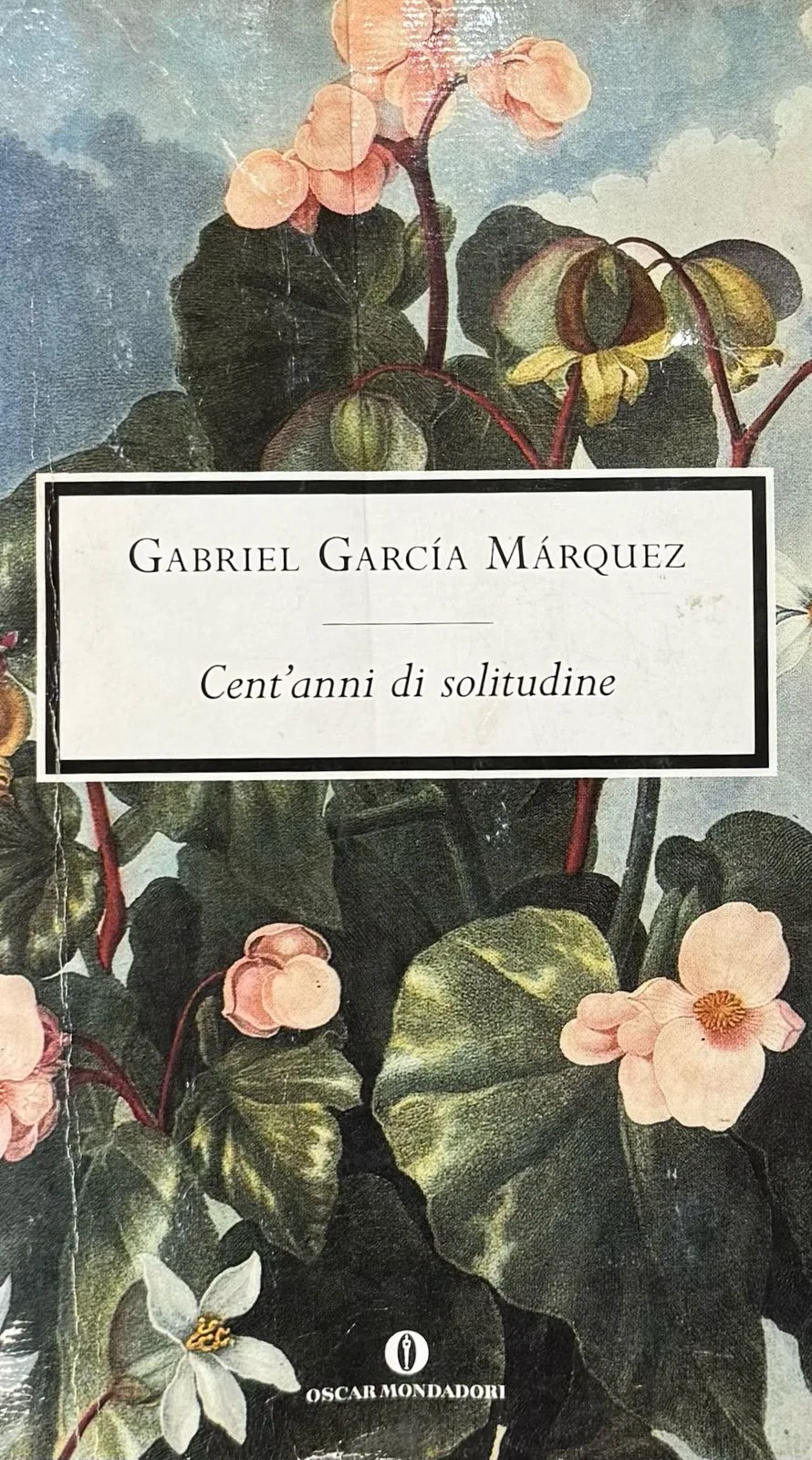 Cent'anni di solitudine