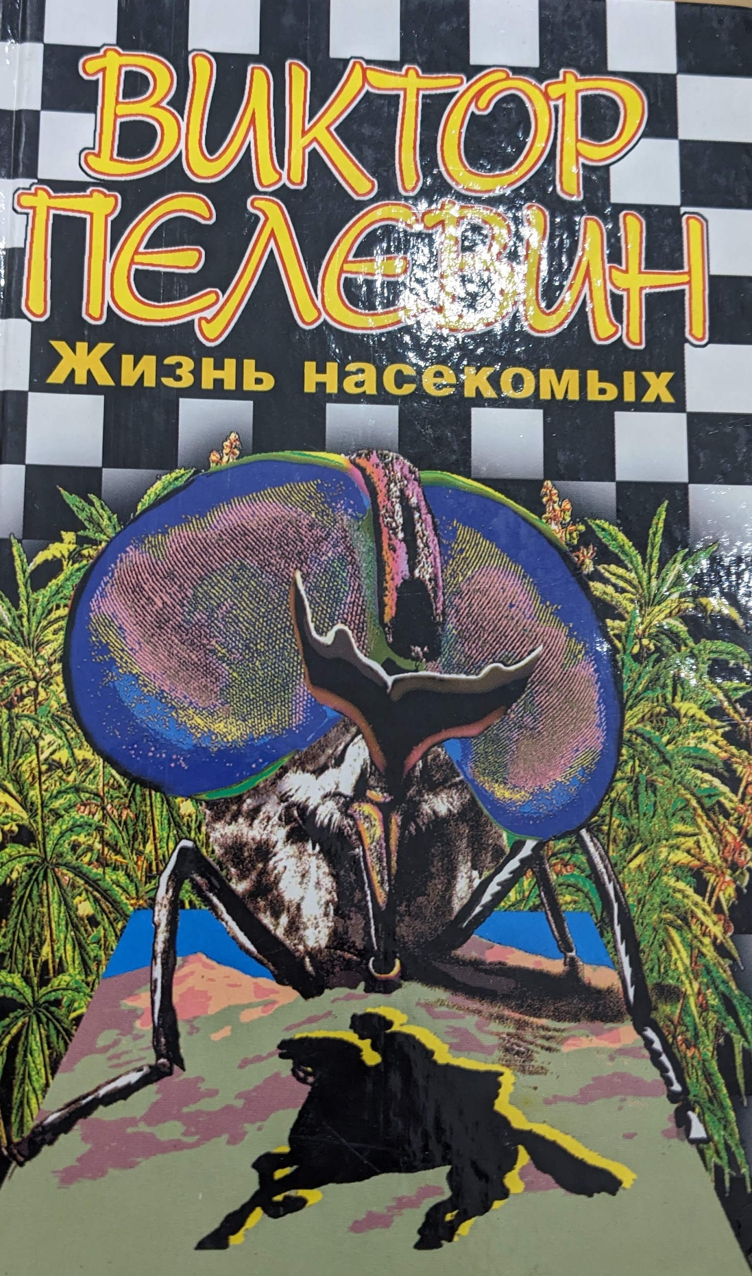 Жизнь насекомых 