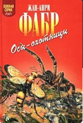 Осы-охотницы 