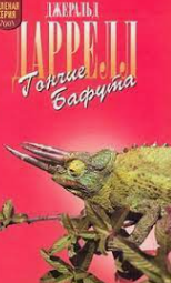 Гончие Бафута