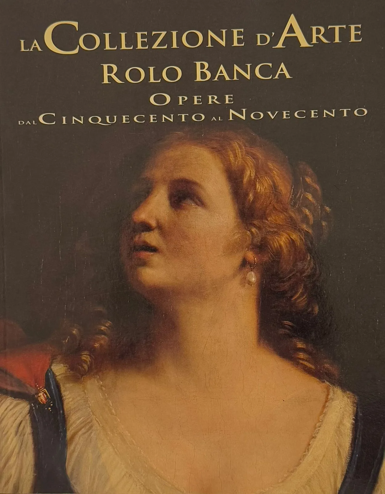 La collezione d' arte Rolo Banca. Opere dal Cinquecento al Novecento