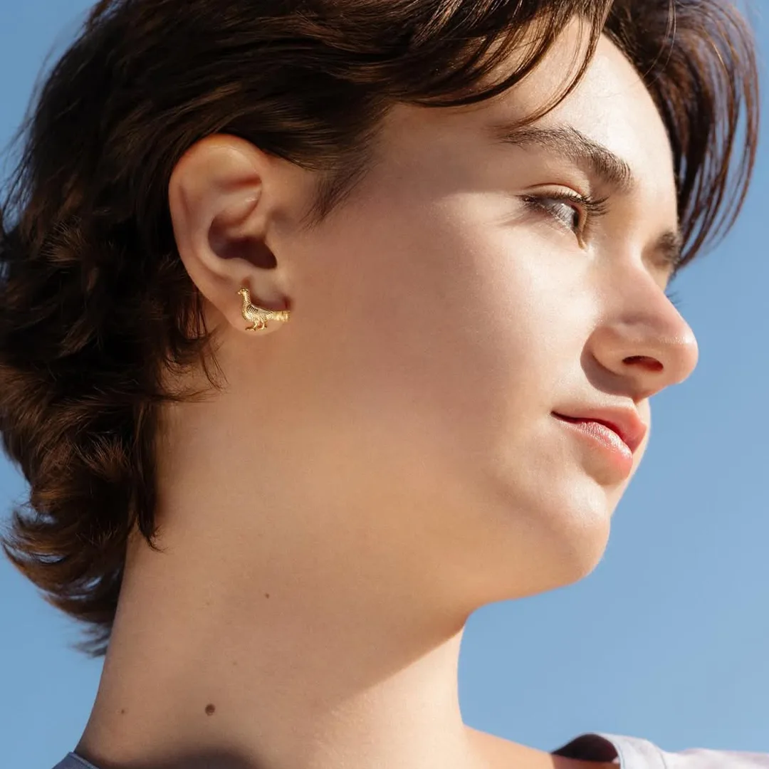 Earrings Tarm